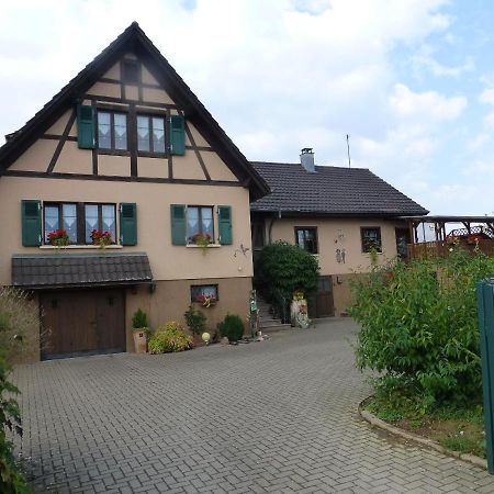 Gite 3 Frontières Hagenthal-le-Bas Esterno foto